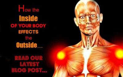“How the inside of your body effects the outside?”