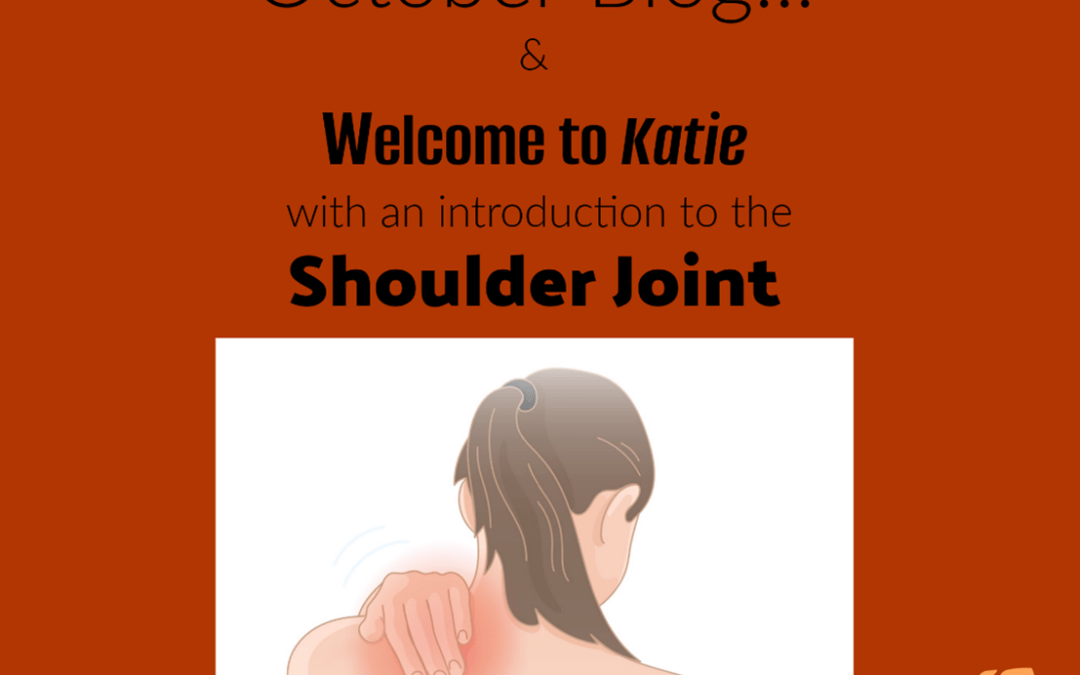 Welcome to Katie with an introduction to the Shoulder Joint