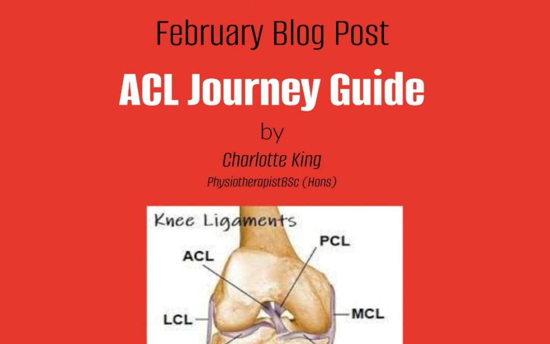ACL Journey Guide